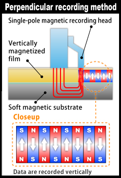 Diagram of perpendicular recording: a single-pole head and bits magnetised vertically above a soft magnetic underlayer